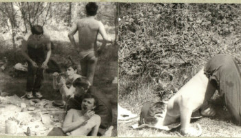 IMG-c192e0d25e5cd193222f912a86a1445a-V